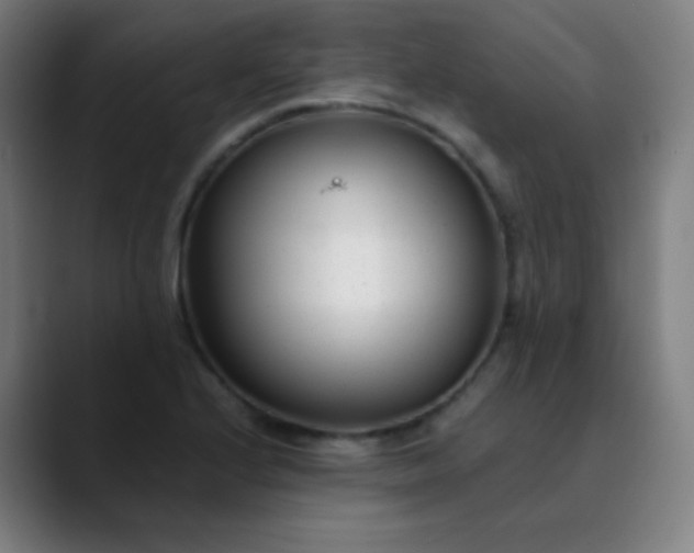 X0000089871224200707121748