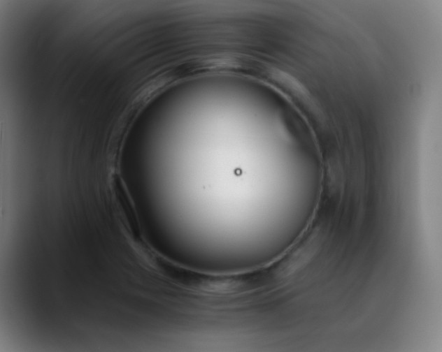 X0000089871225200707121748