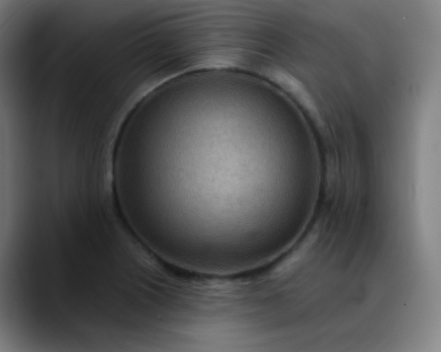 X0000089871226200707121748