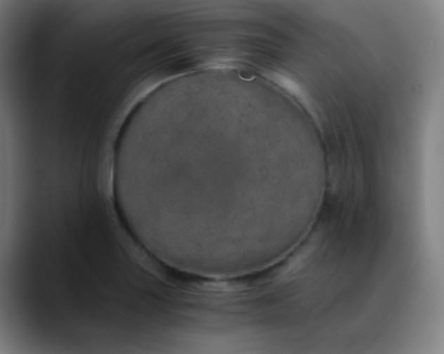 X0000089871227200707121748