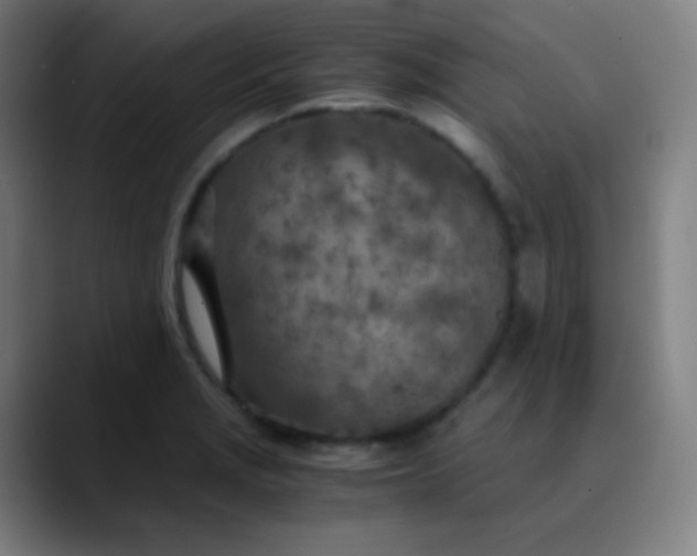 X0000089871229200707121748