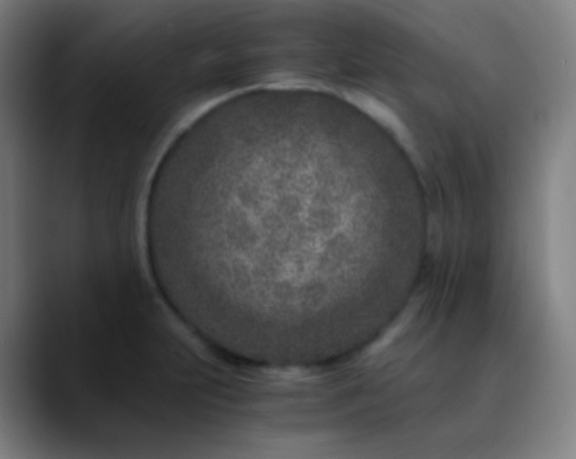 X0000089871231200707121748