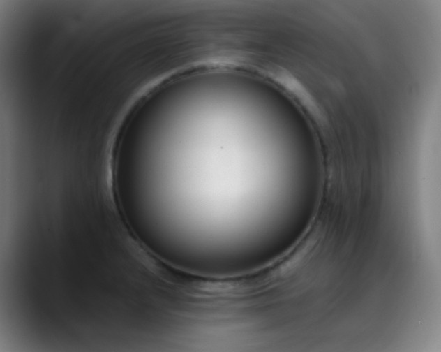 X0000089871232200707121748