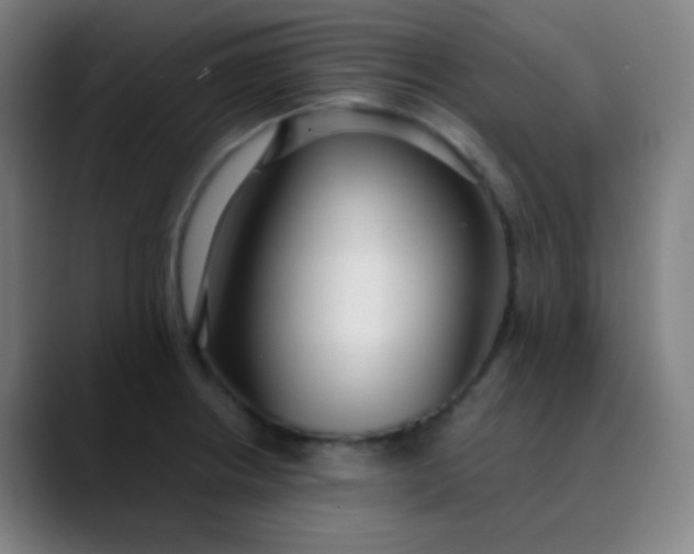 X0000089871234200707121748
