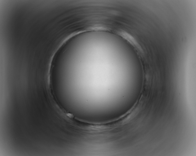 X0000089871236200707121748