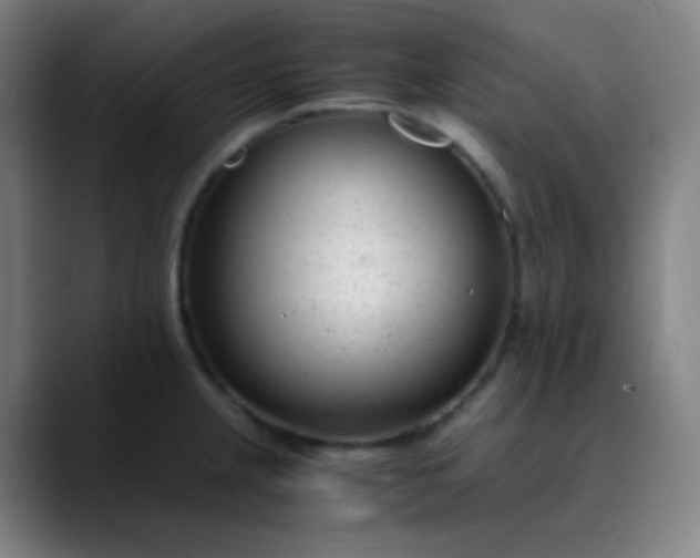 X0000089871237200707121748