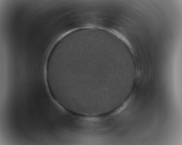 X0000089871239200707121748