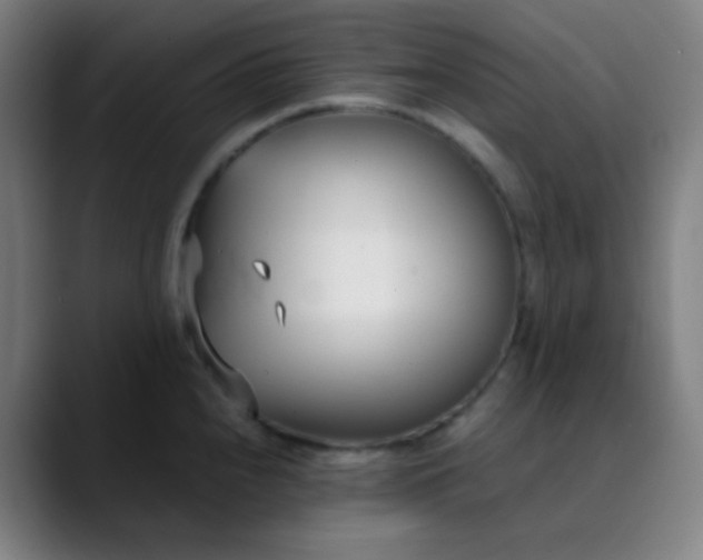 X0000089871240200707121748