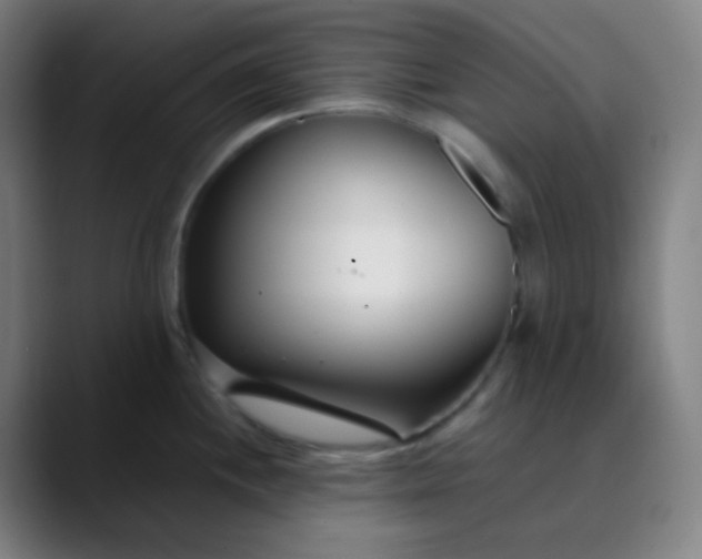 X0000089871244200707121748
