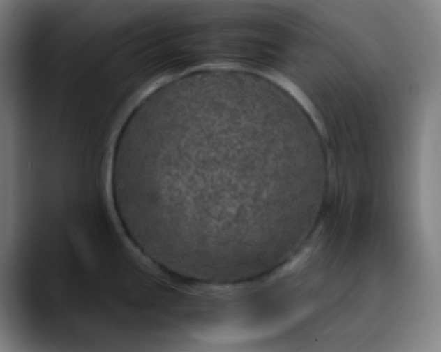 X0000089871245200707121748