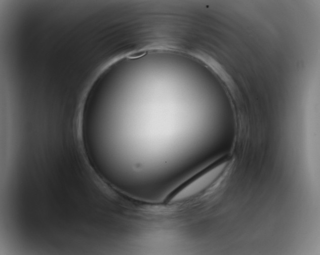 X0000089871246200707121748