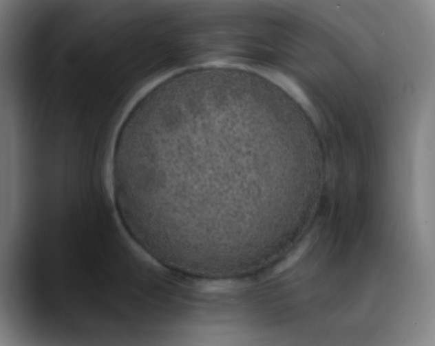 X0000089871247200707121748