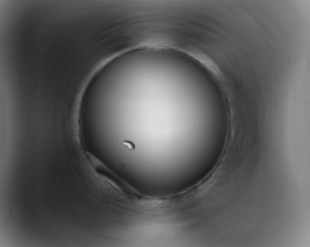 X0000089871248200707121748