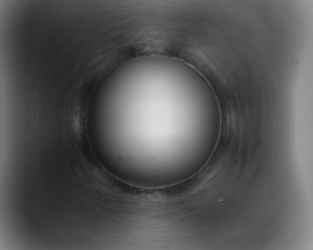 X0000089871250200707121748