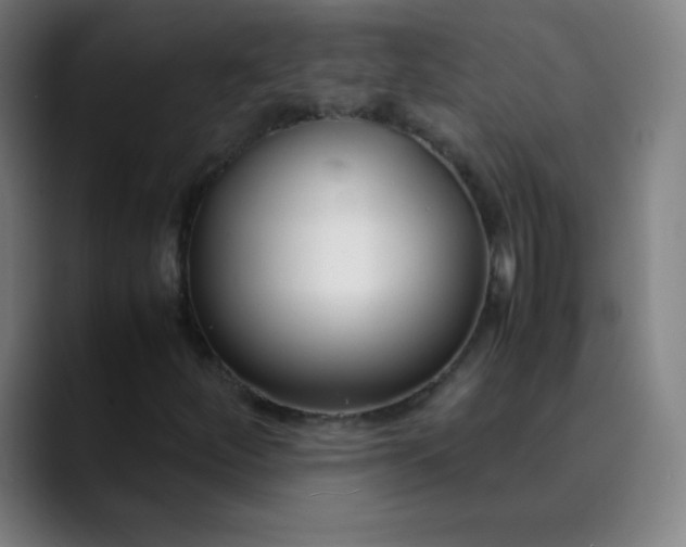 X0000089871252200707121748