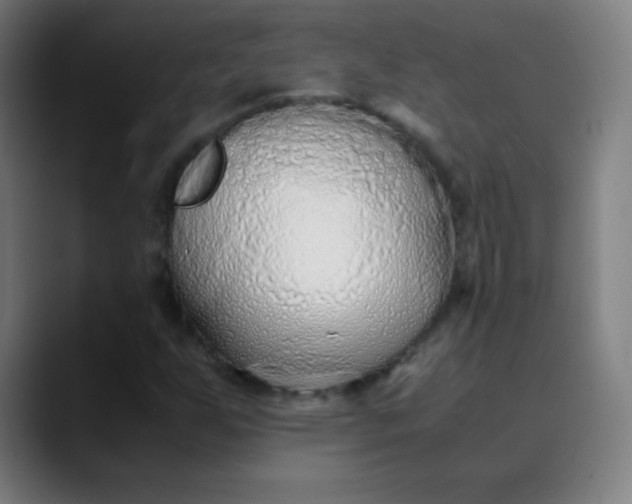 X0000089871255200707121748