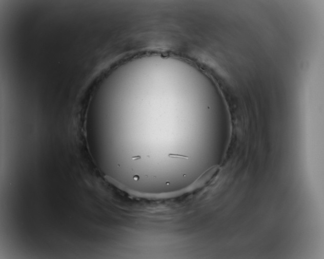 X0000089871256200707121748