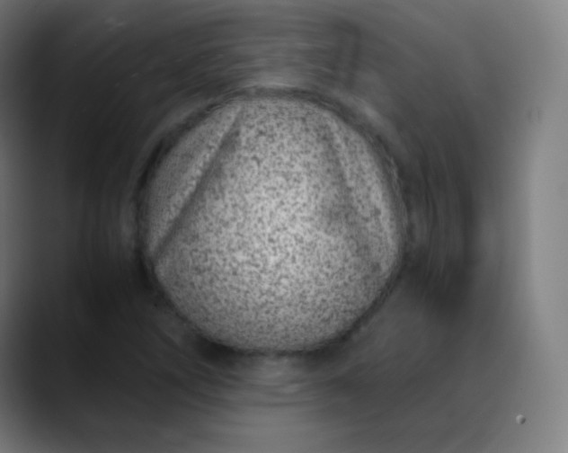 X0000089871266200707121748