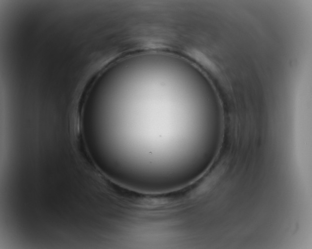 X0000089871269200707121748
