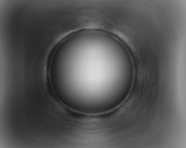 X0000089871270200707121748