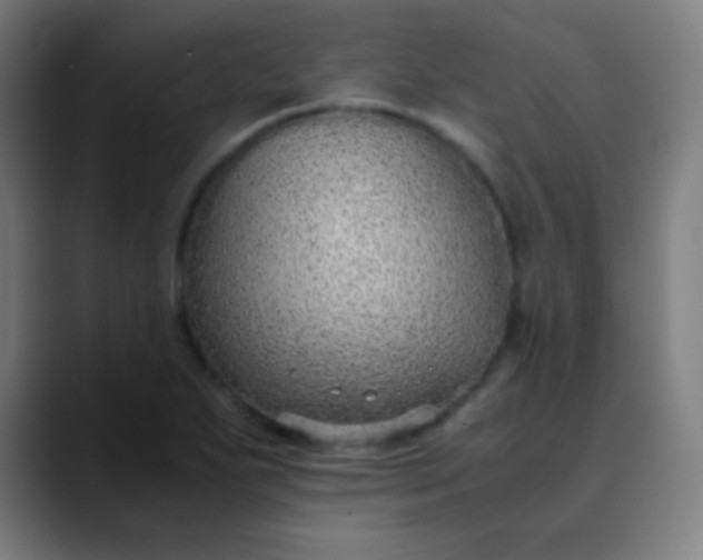 X0000089871271200707121748