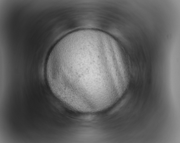 X0000089871278200707121748