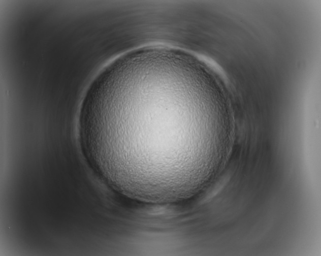 X0000089871279200707121748