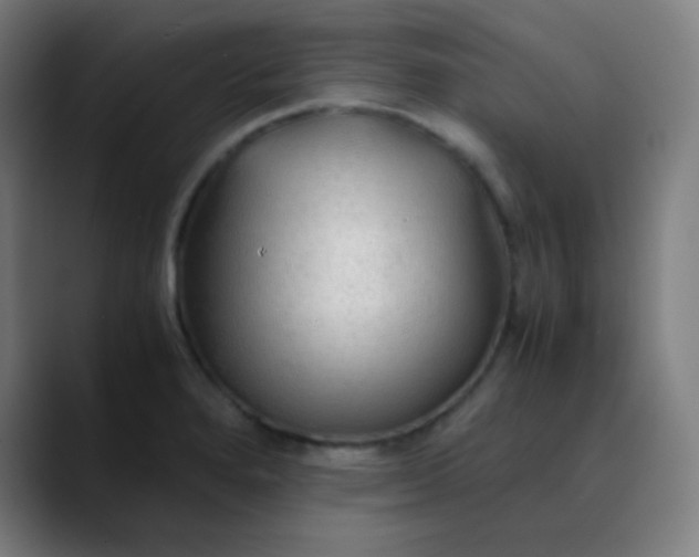 X0000089871280200707121748