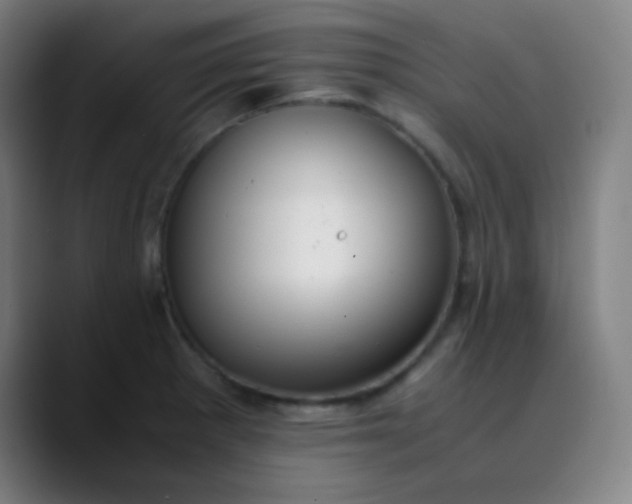 X0000089871281200707121747