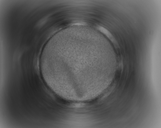 X0000089871282200707121747