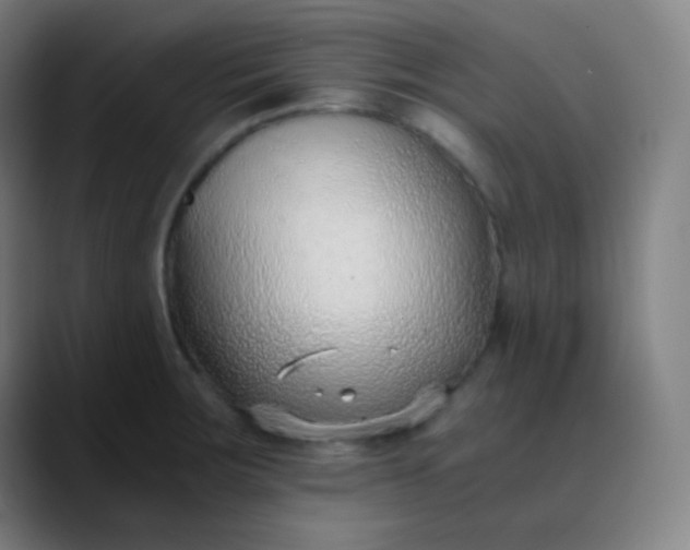 X0000089871283200707121747