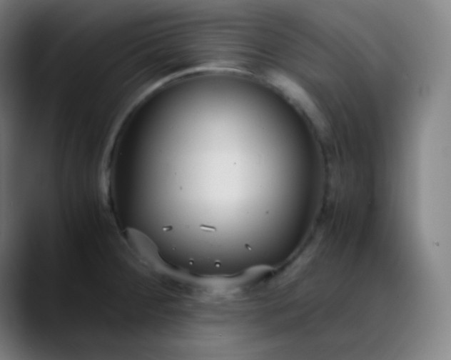 X0000089871284200707121747