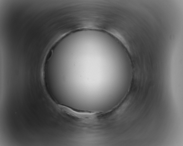 X0000089871285200707121747