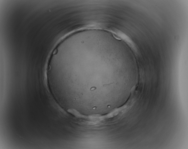 X0000089871288200707121747
