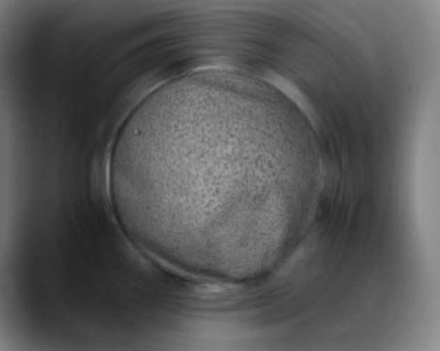 X0000089871290200707121747