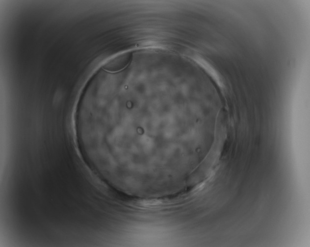 X0000089871291200707121747