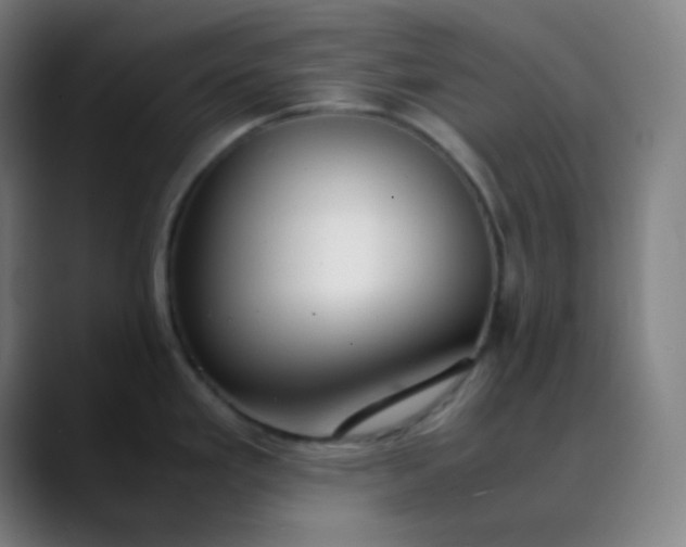 X0000089871293200707121747