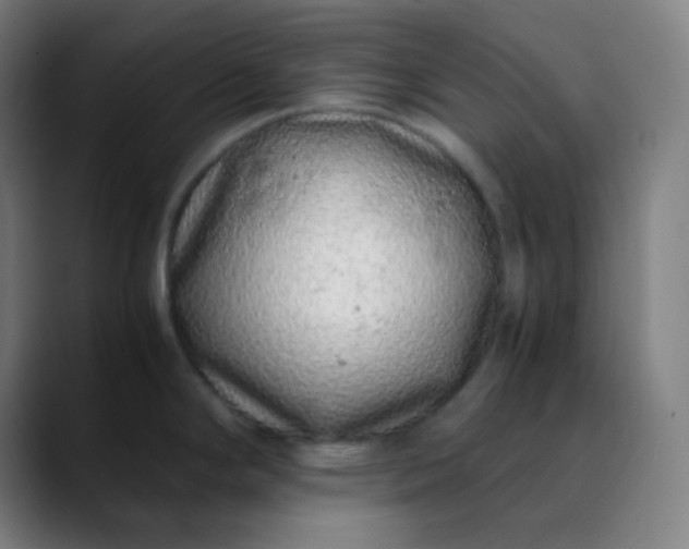 X0000089871294200707121747
