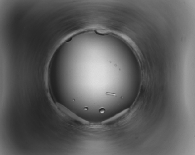 X0000089871295200707121747