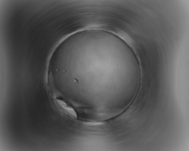 X0000089871296200707121747
