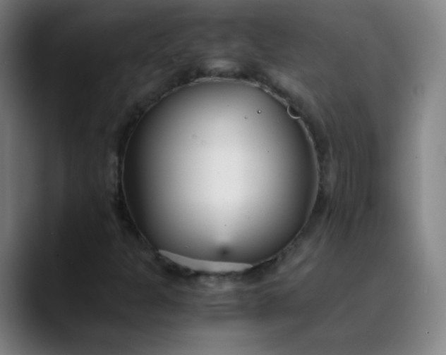 X0000089871301200707121747
