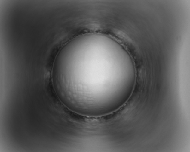 X0000089871302200707121747