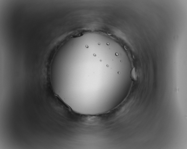 X0000089871304200707121747