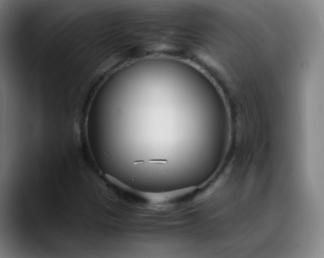 X0000089871305200707121747