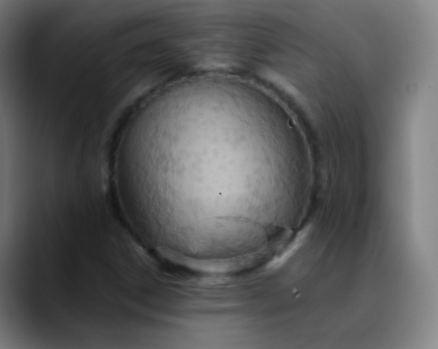 X0000089871306200707121747