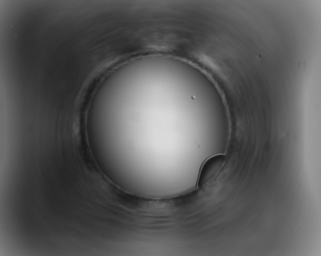 X0000089871307200707121747