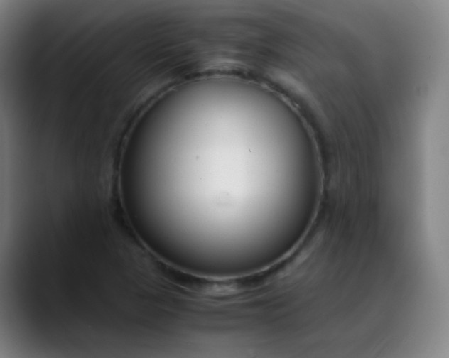 X0000089871313200707121747