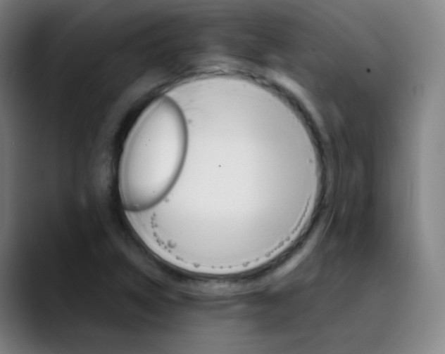 X0000089871314200707121747
