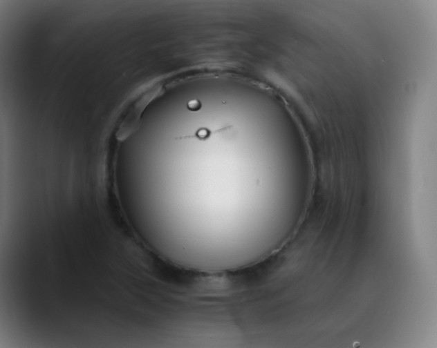 X0000089871315200707121747