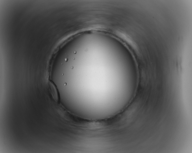 X0000089871316200707121747